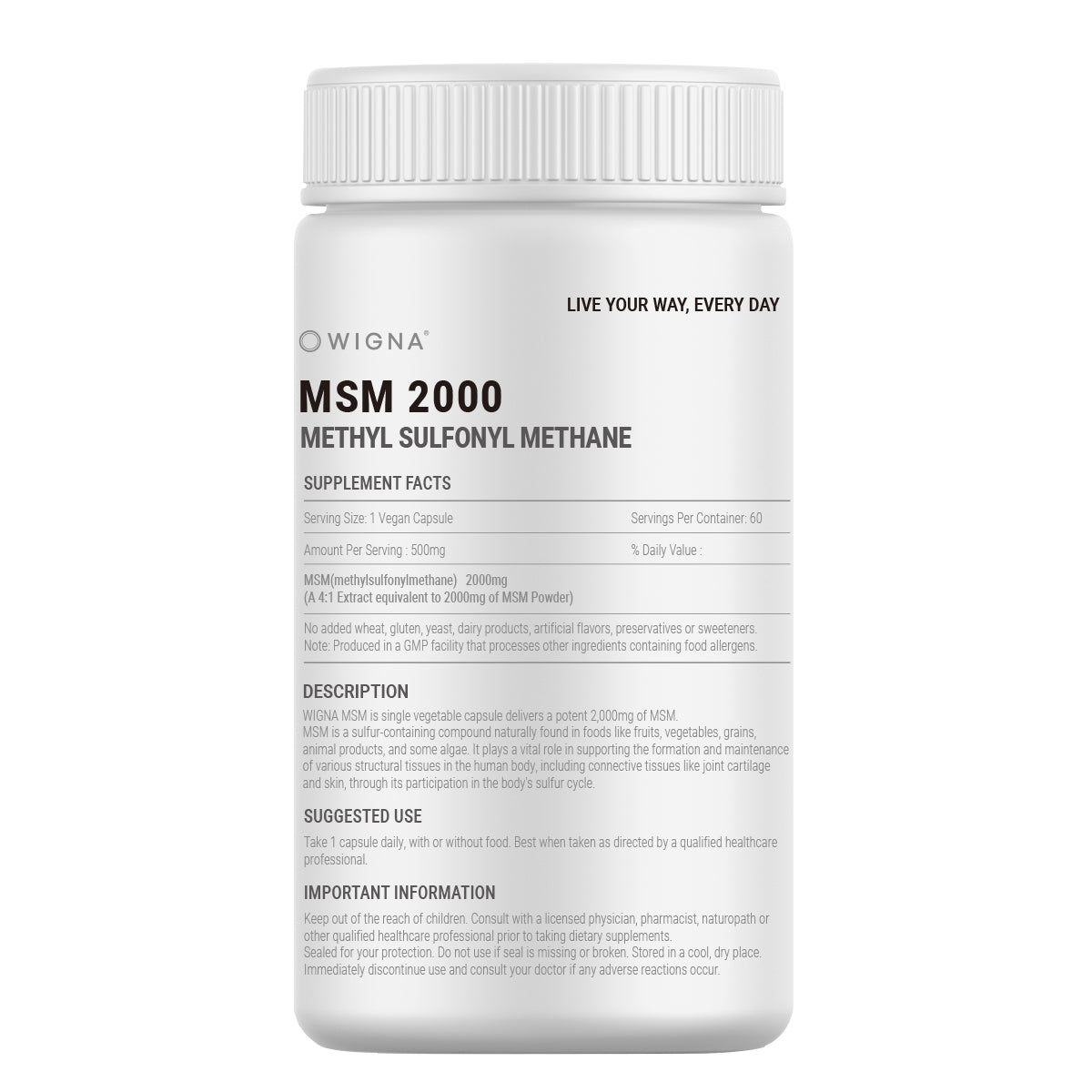 维格纳 MSM 2000