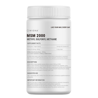 维格纳 MSM 2000