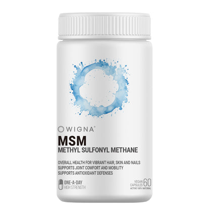 维格纳 MSM 2000