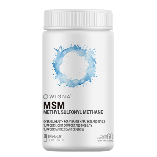 维格纳 MSM 2000